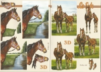 3D-Buch A5 Pferde von LeSuh (345635)