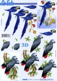 3D-Bogen Papagei von LeSuh (4169896)