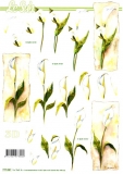 3D-Bogen Set Weie Blumen 1 (SET-019)