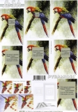3D-Pyramidenbogen Papagei von LeSuh (630.108)