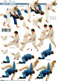 3D-Bogen Judo von LeSuh (777.402)