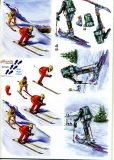 3D-Bogen Skifahrer von Nouvelle (821509)