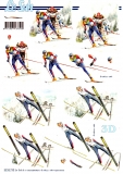 3D-Bogen Skilauf & Skisprung von Nouvelle (8215710)