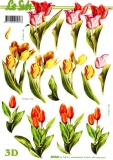 3D-Bogen Tulpen von Nouvelle (821584)