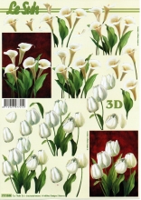 3D-Bogen Calla & Tulpen von LeSuh (777.044)