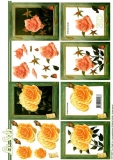 3D-Bogen Rosenbilder von LeSuh (777.227)