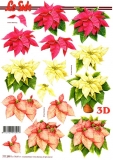 3D-Bogen Weihnachtsstern von LeSuh (777.299)