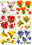 3D-Bogen Frühlingsblumen klein von LeSuh (777.397)