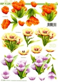 3D-Bogen Tulpen von LeSuh (777.395)
