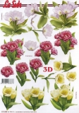 3D-Bogen Tulpen von LeSuh (777.399)