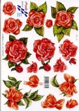 3D-Bogen Rote Rosen von Nouvelle (8215114)