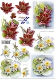 3D-Bogen Wasserlilien von Nouvelle (8215166)