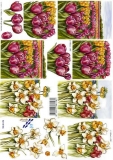 3D-Bogen Tulpen & Narzissen von Nouvelle (8215186)