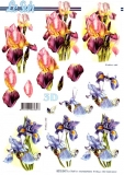 3D-Bogen Iris von Nouvelle (8215347)
