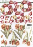 3D-Bogen Tulpen von Nouvelle (8215394)