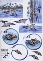 3D-Bogen Delphine von Nouvelle (821541)
