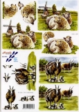 3D-Bogen Schafe von Nouvelle (821575)