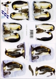 3D-Bogen Pinguin von Nouvelle (821559)