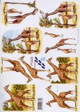 3D-Bogen Giraffe von Nouvelle (821580)
