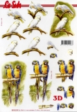 3D-Bogen Kakadu & Papagei von Nouvelle (8215219)