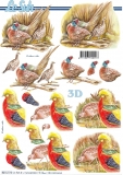 3D-Bogen Fasan von Nouvelle (8215774)