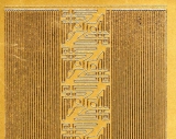 Sticker - Rand & Ecken 1 - gold - 842