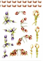 Stanzbogen-Buch Nr.22 - Spring Flowers / Frhlingsblumen