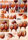 3D-Bogen Tulpen von LeSuh (4169701)