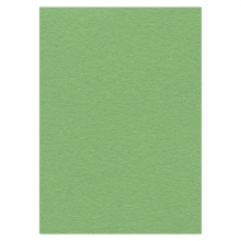 10x Karten-Karton A4 apfelgrün von Card Deco