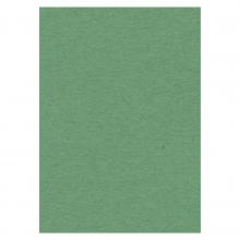 10x Karten-Karton A4 grün von Card Deco